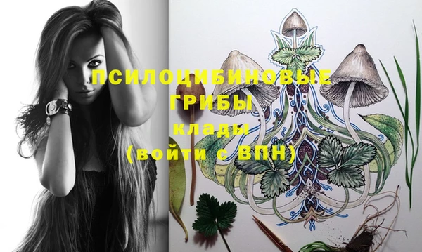 apvp Елизово