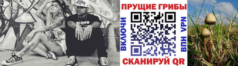 Купить закладки  Усть-Кут  Псилоцибиновые грибы ЛСД 